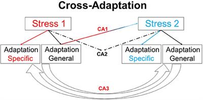 Editorial: Cross Adaptation and Cross Tolerance in Human Health and Disease